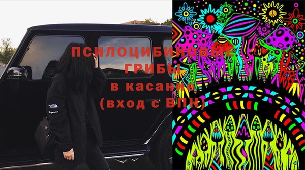 мяу мяу мука Белокуриха
