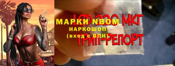 гашик Беломорск