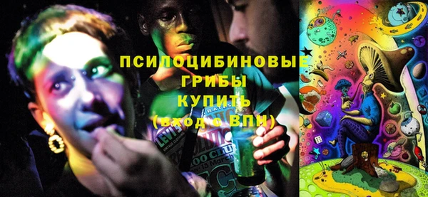 гашик Беломорск