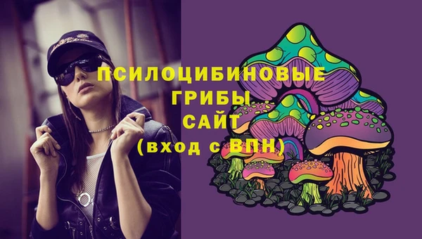 мяу мяу мука Белокуриха