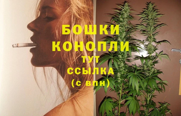 гашик Беломорск